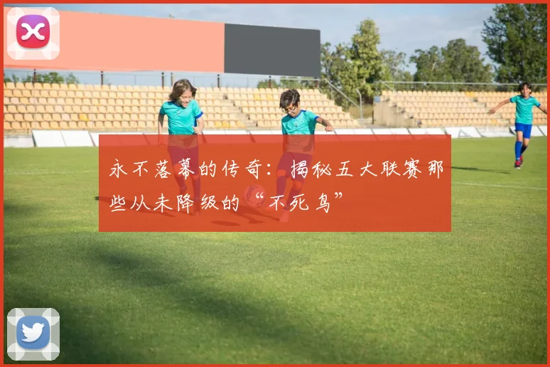 永不落幕的传奇：揭秘五大联赛那些从未降级的“不死鸟”